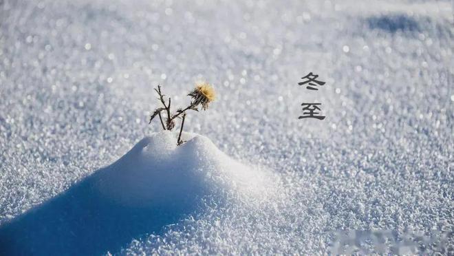 表太实用了送给大家！（收藏）球王会入口最新三九进九时间(图1)