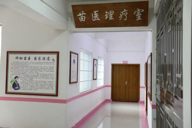 （苗医）戒毒工作框架探索戒毒康复辅助治疗新路径球王会经验聚焦 省黔东所搭建“1+2+3”中医(图5)